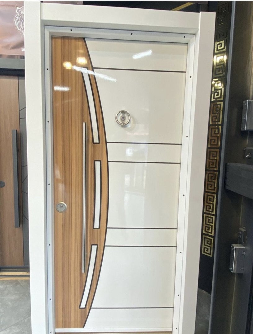 Modern Designer Entry Door 
