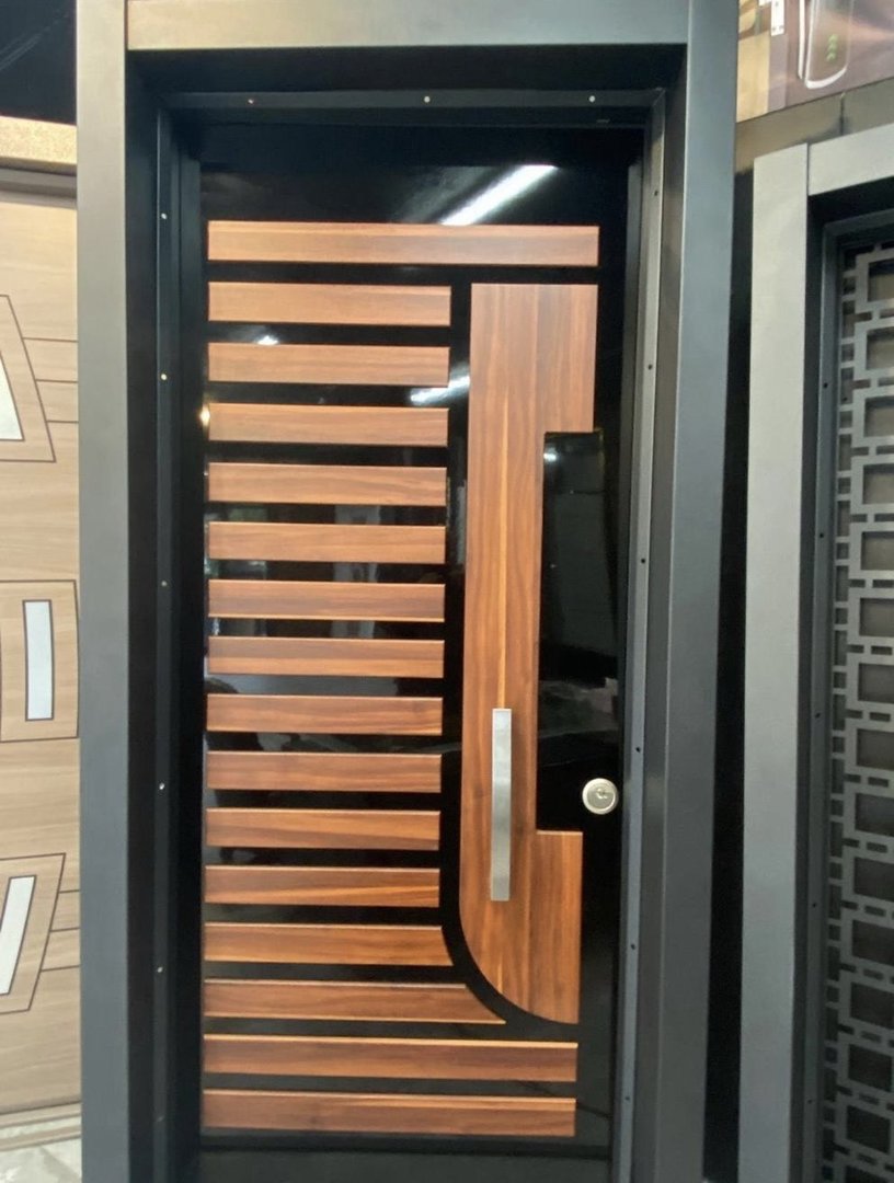 Modern Designer Door 