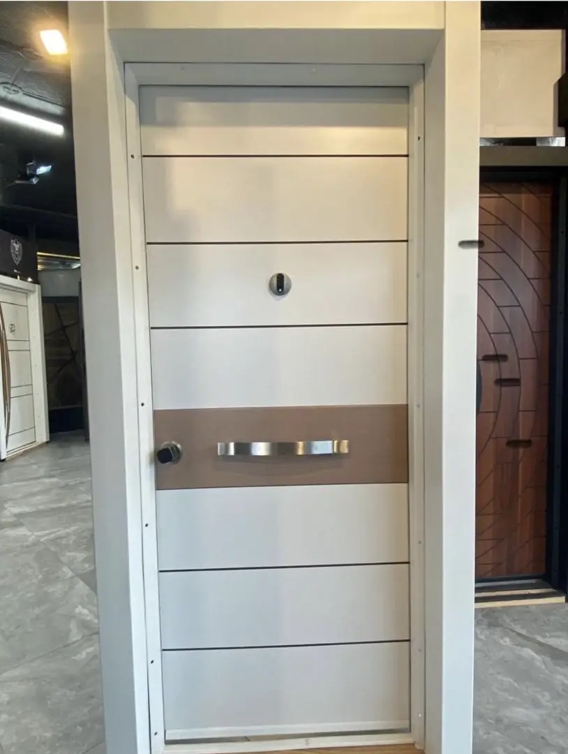 Premium Modern Entrance Door